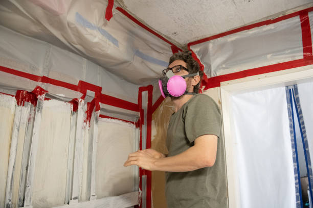 Reliable Granbury, TX Mold Removal Solutions